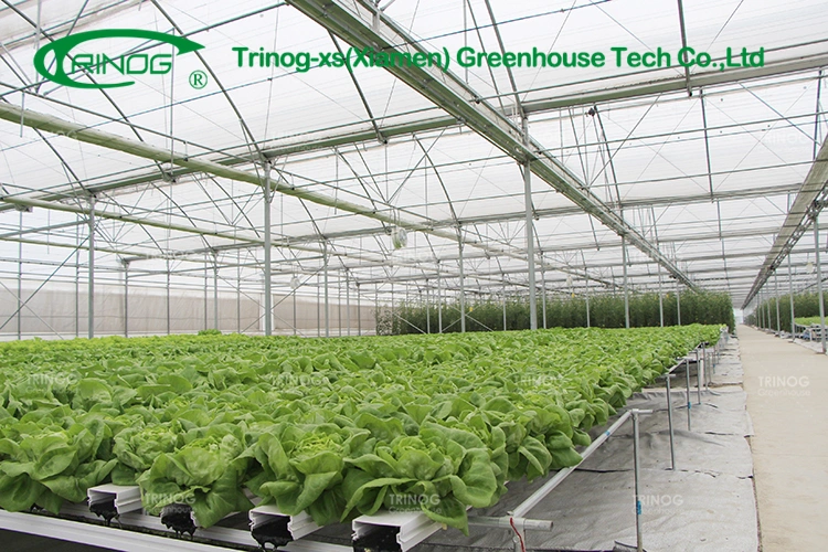 Multi-Span Film Vegetable Greenhouse Flower Growing Greenhouse with Inner Shading System