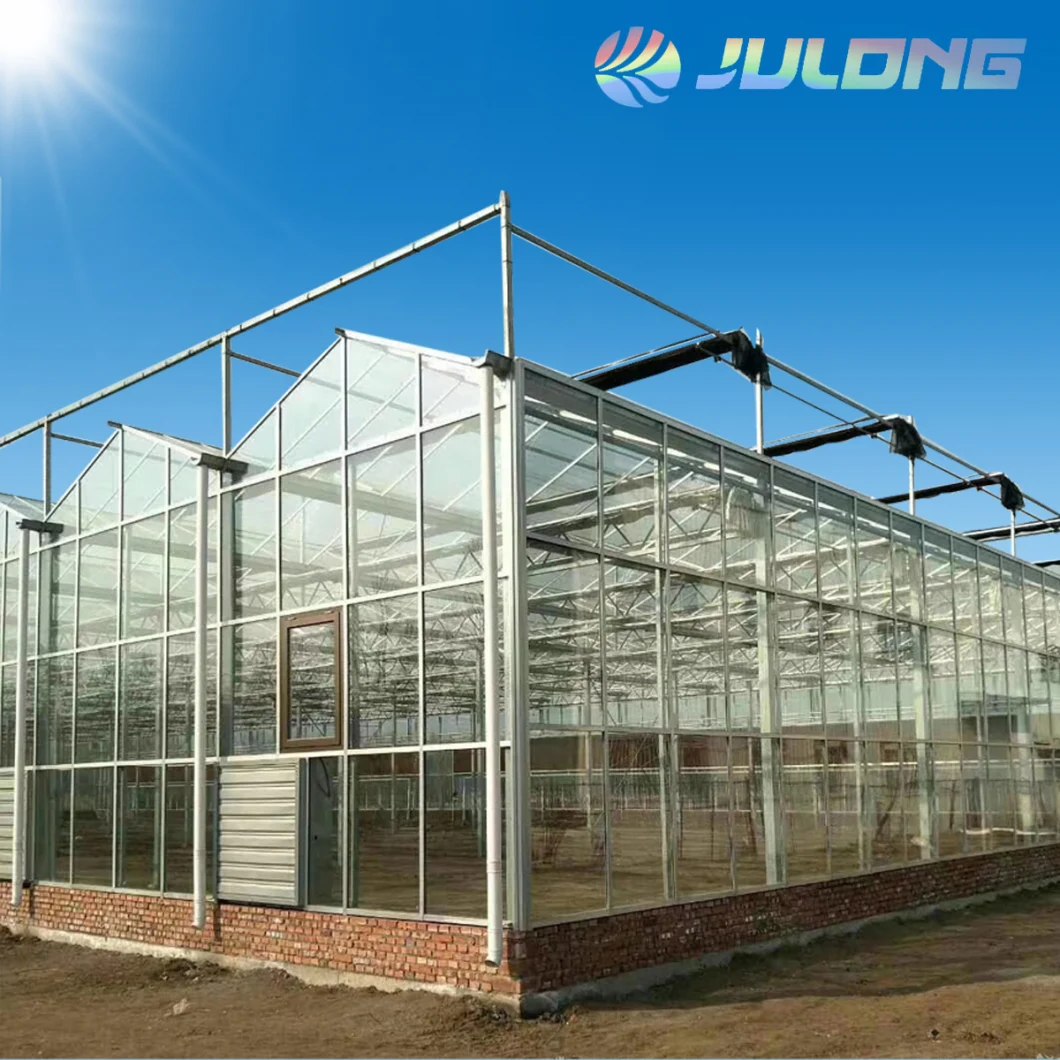 Dutch Bucket Model Style Venlo Glass Hydroponic Greenhouse for Tomato/Lettuce/Cucumber Planting