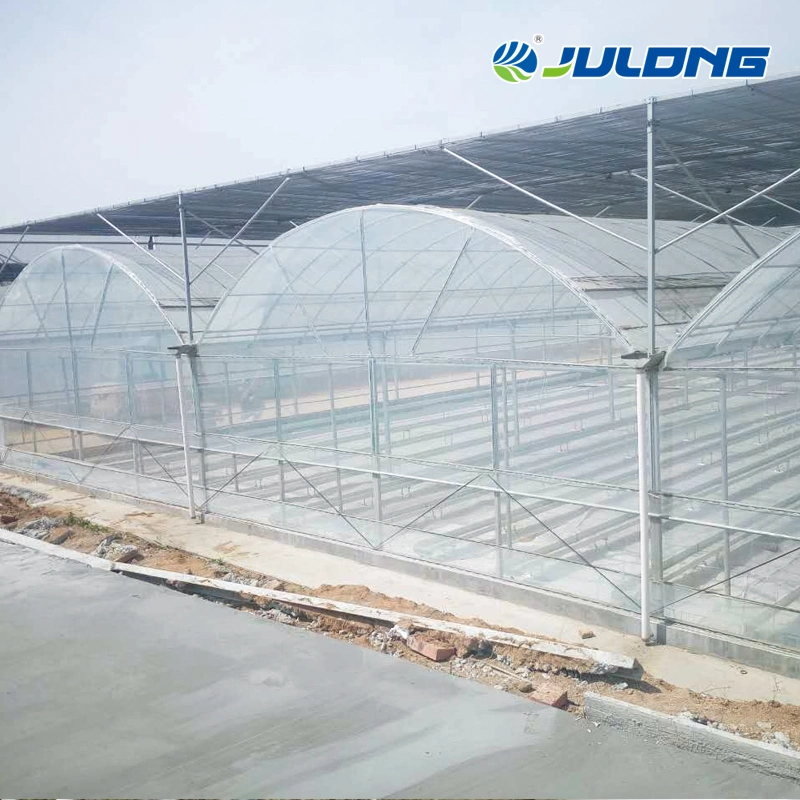 Agricultural Smart Multi-Span/Single-Span Plastic Film Greenhouse with Irrigation System