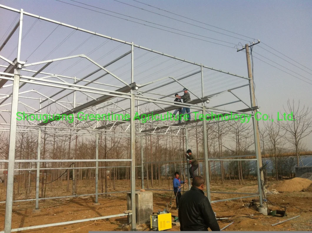 Agricultural Intelligent Glass Greenhouse with Hydroponic Systems for Planting Tomatoes/Cucumber/Eggplant/Lettuce/Pepper/Chili