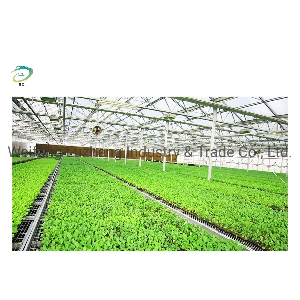 Hydroponic Venlo PC Polycarbonate Energy Drive Photovoltaic Panel Solar Greenhouse, Glass Greenhouse