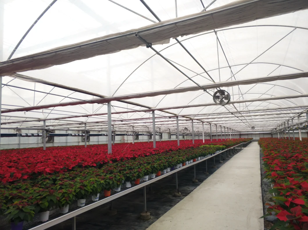 UV Stabilized Agricultural Film Greenhouse with Transparent Woven Greenhouse Film