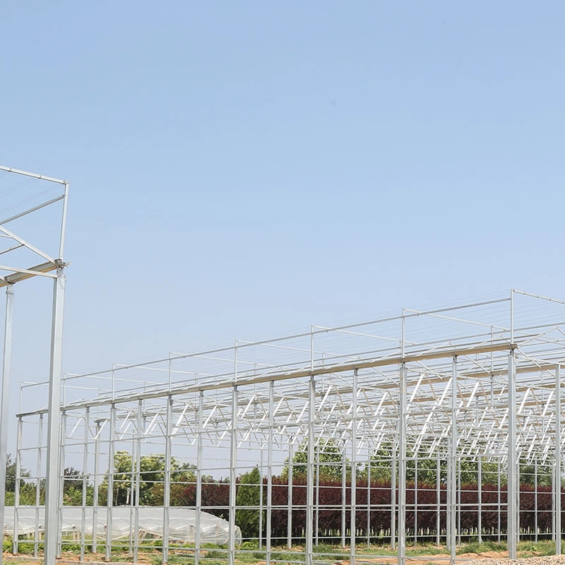 Sun-Shading Po Greenhouse Metal Structure Greenhouse for Tomato
