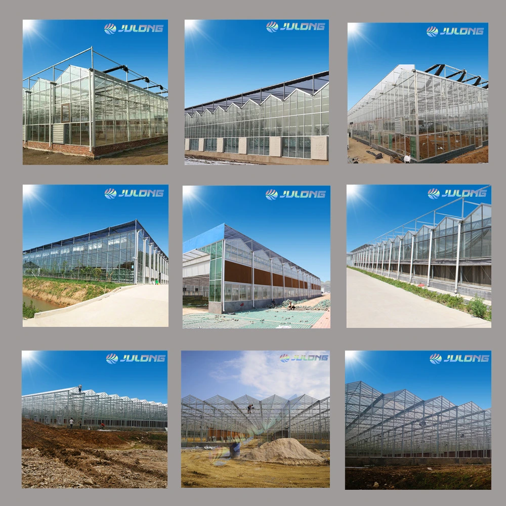 Agricultural Products Nft Hydroponics System Multi-Span Venlo Glass Greenhouse for Vegetable Seedling and Farming