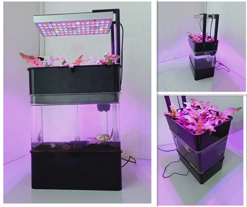 Aquaculture and Hydroponics for Aquaponics System