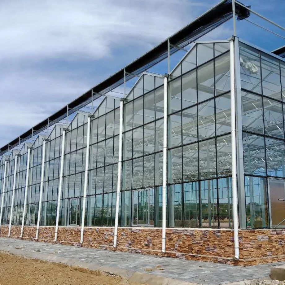 China Supplier Low Cost Glass Greenhouse for Commercial