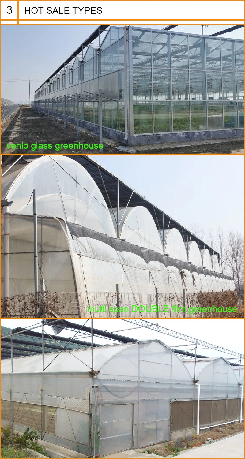 Insulating Intelligent Greenhouse for Aquaculture/Livestock Breeding