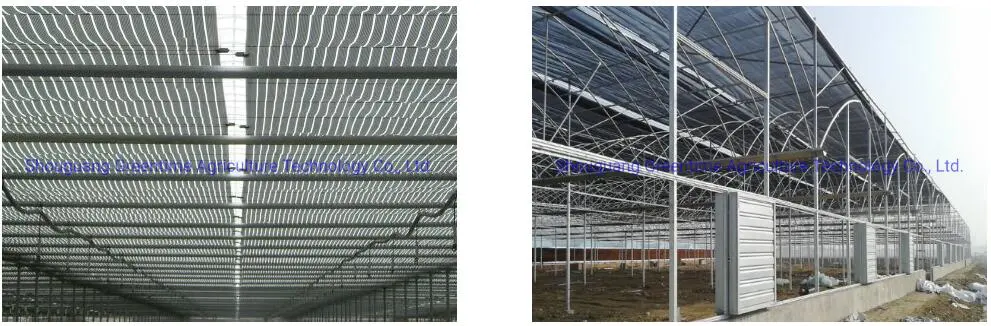 Multi-Span Film/Polycarbonate/PC Sheet/Tunnel/Agricultural Greenhouse with Internal Shading System