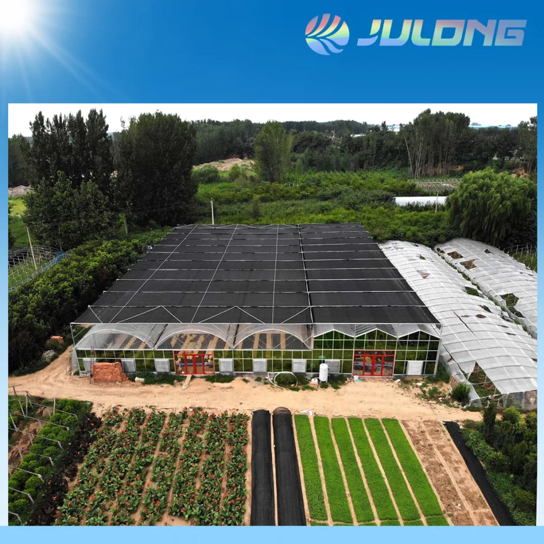 China Vegetable Growing Greenhouse Hydroponics Glass Greenhouse for Sale