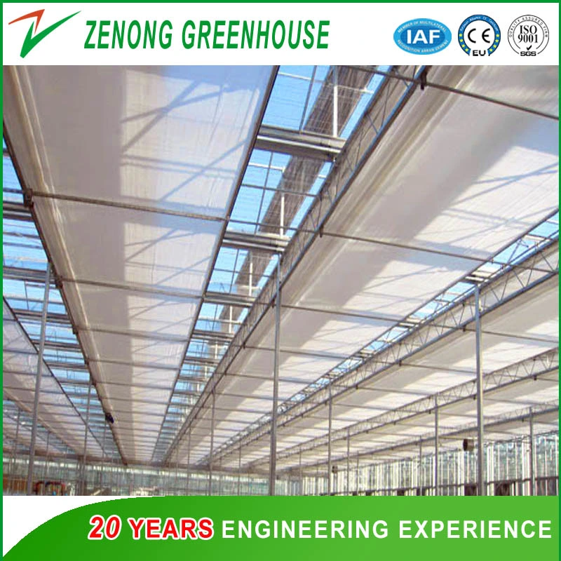 Modern Agriculture Multi-Span Film Greenhouse for Hydroponic Vertical Farming
