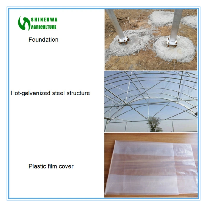 Customized Single Span Plastic Film Greenhouse for Tomato/Cucumber/Flowers/Vegetable with Cooling System & Hydroponic System