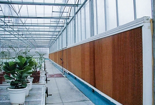 Agricultural Greenhouses Type Livestock Farm Greenhouse Evaporate Water Air Cooler Exhaust Fan and Cooling Pad