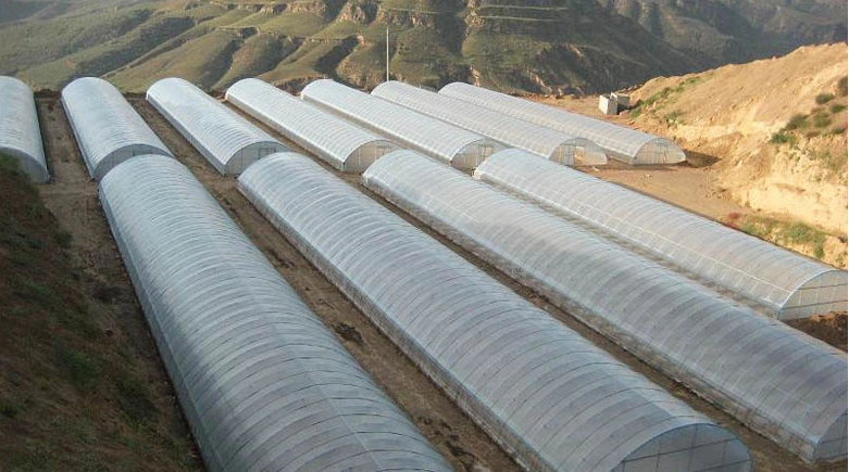 Used Vegetables/ Breeding Small Single Span Farming Plastic Film Tunnel Greenhouse