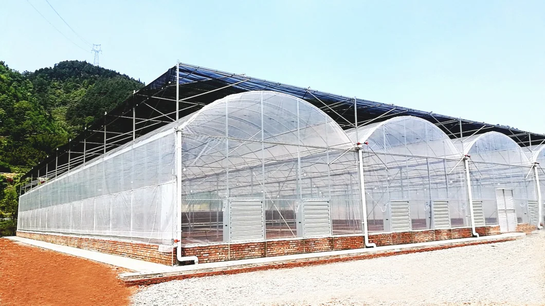 Agricultural/Garden/Farm Plastic Po/PE Film Greenhouse for Vegetable Tomato/Cucumbers/Lettuce/Pepper