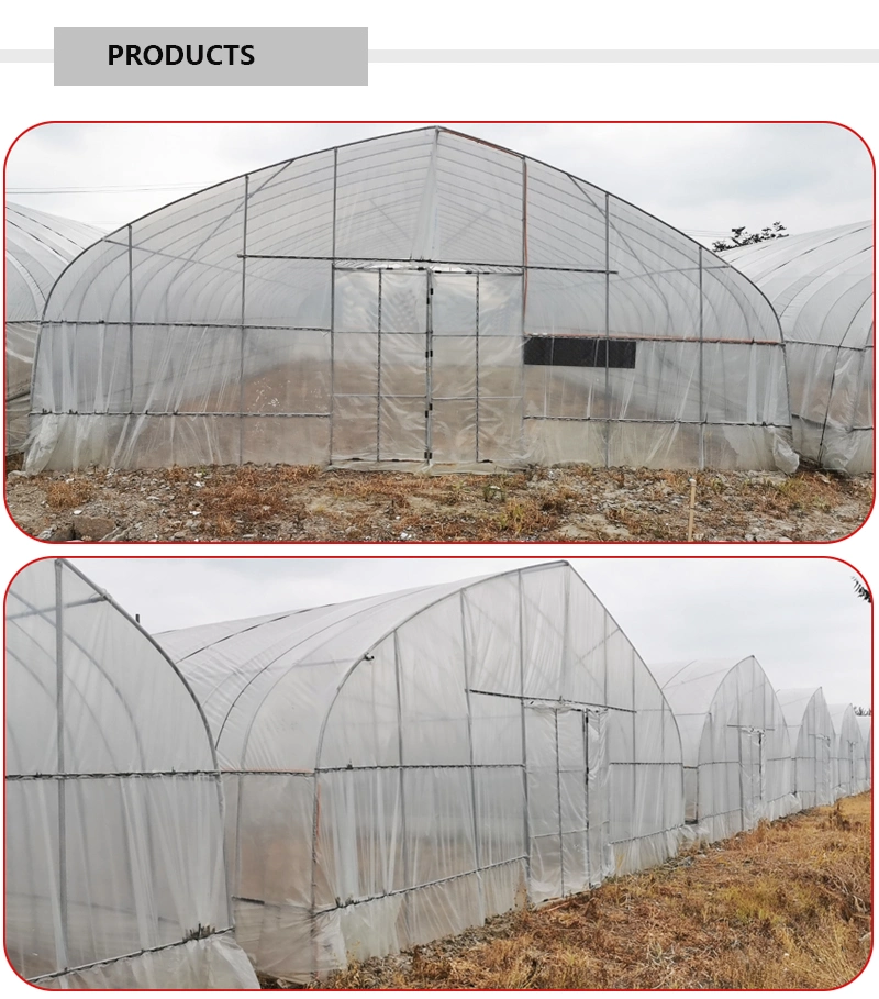 China Single Span Greenhouse with Plastic Film