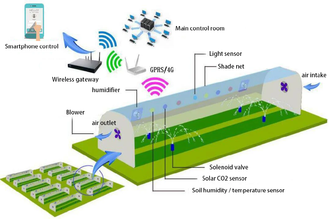 High Tunnel Aquaponics Systems Agricultural Greenhouses