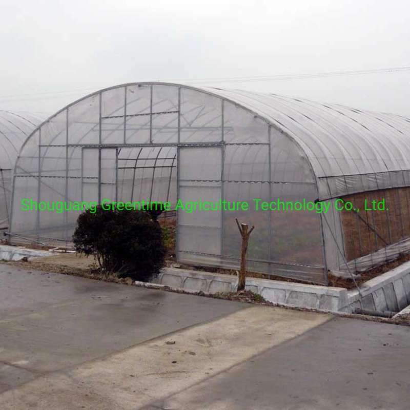 Single-Span Arch Type Film Greenhouse for Agriculture Cucumber Planting
