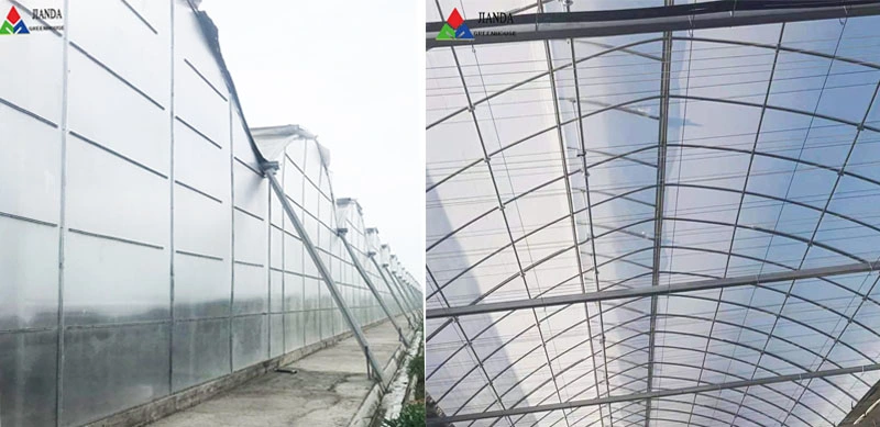 Top Quality China Single Span Polyethylene Film Greenhouse