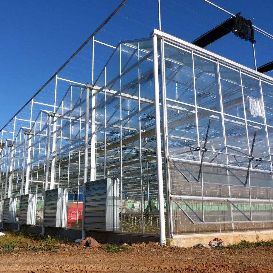 Greenhouse Glass Manufacturer 4mm Tempered Greenhouse Glass