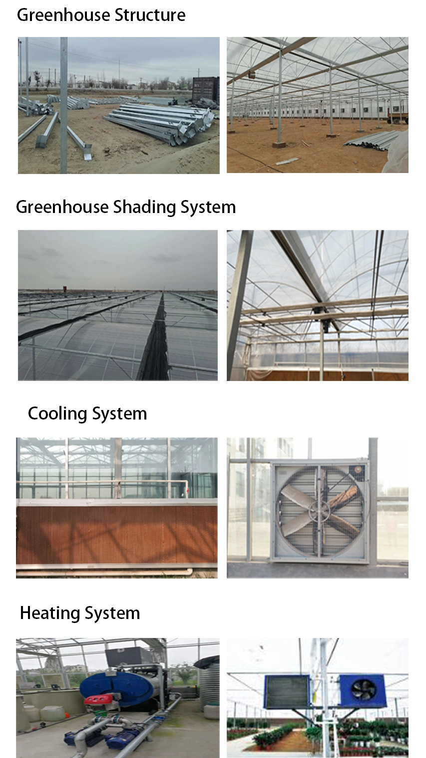 Automatic Shading System Multi-Span Greenhouse