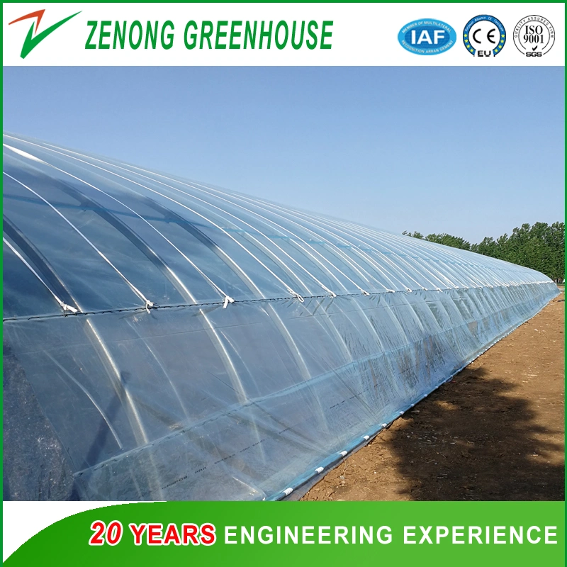 Plastic Film Single Tunnel Greenhouse with Shading Net for Mushroom/Cherry/Strawberry/Broccoli