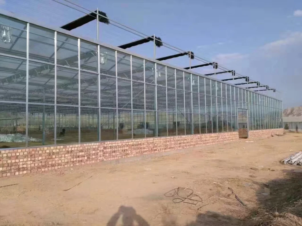 Agricultural Hydroponic Systems Glass Greenhouse for Vegetable Growing