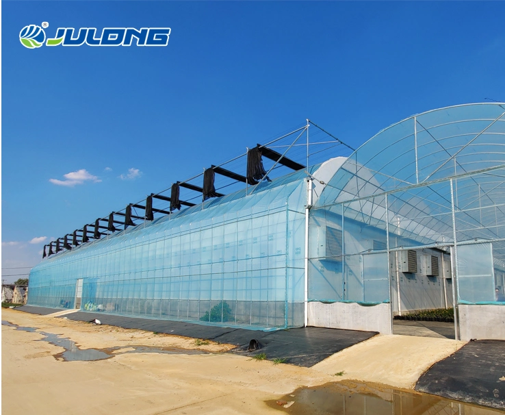 Commercial Hydroponics System Plastic Film Tunnel Solar Used Greenhouse Price for Tomato Vegetables Planting