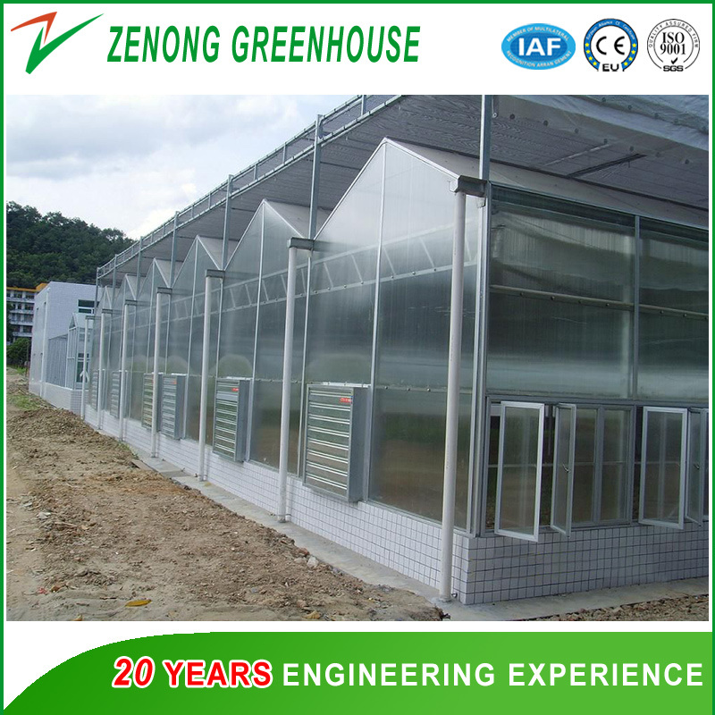 Commercial Multi-Span PC Sheet Intelligent Greenhouse for Tourism/Flower Market/Seedling Breeding