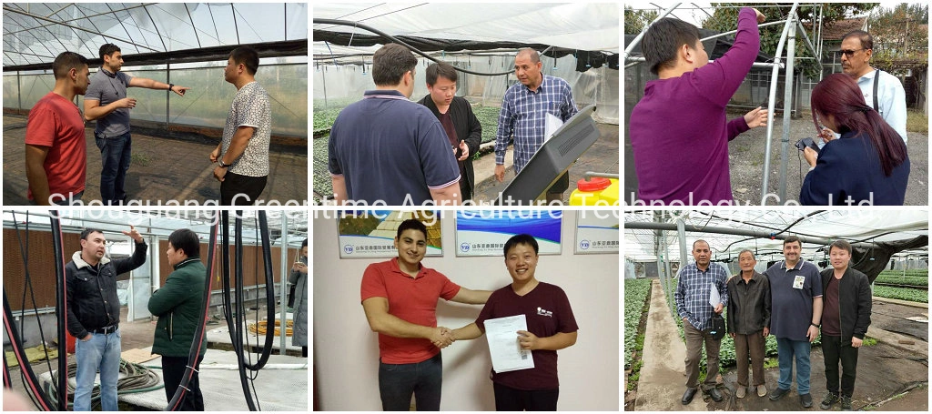 Commercial Light Deprivation Greenhouse for Medical Plants Growing