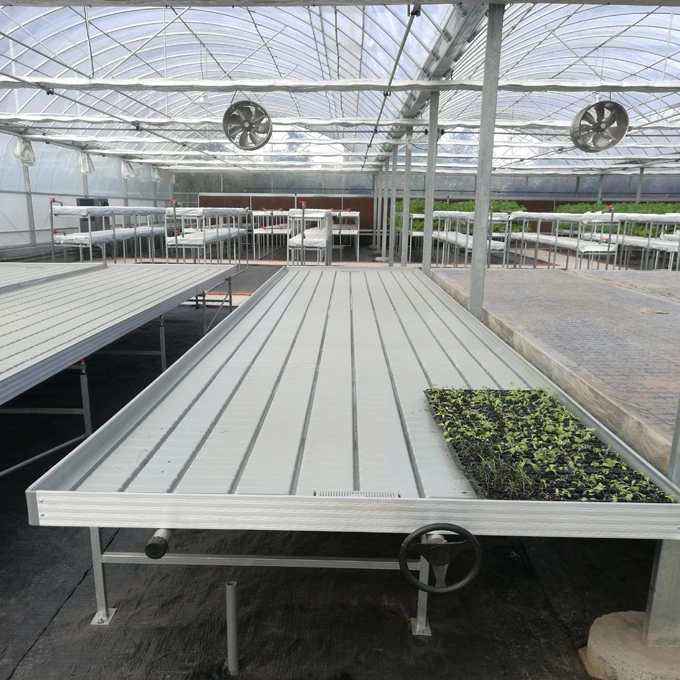 Effective Venlo Type Polycarbonate Sheet Agriculture Hydroponics Greenhouse