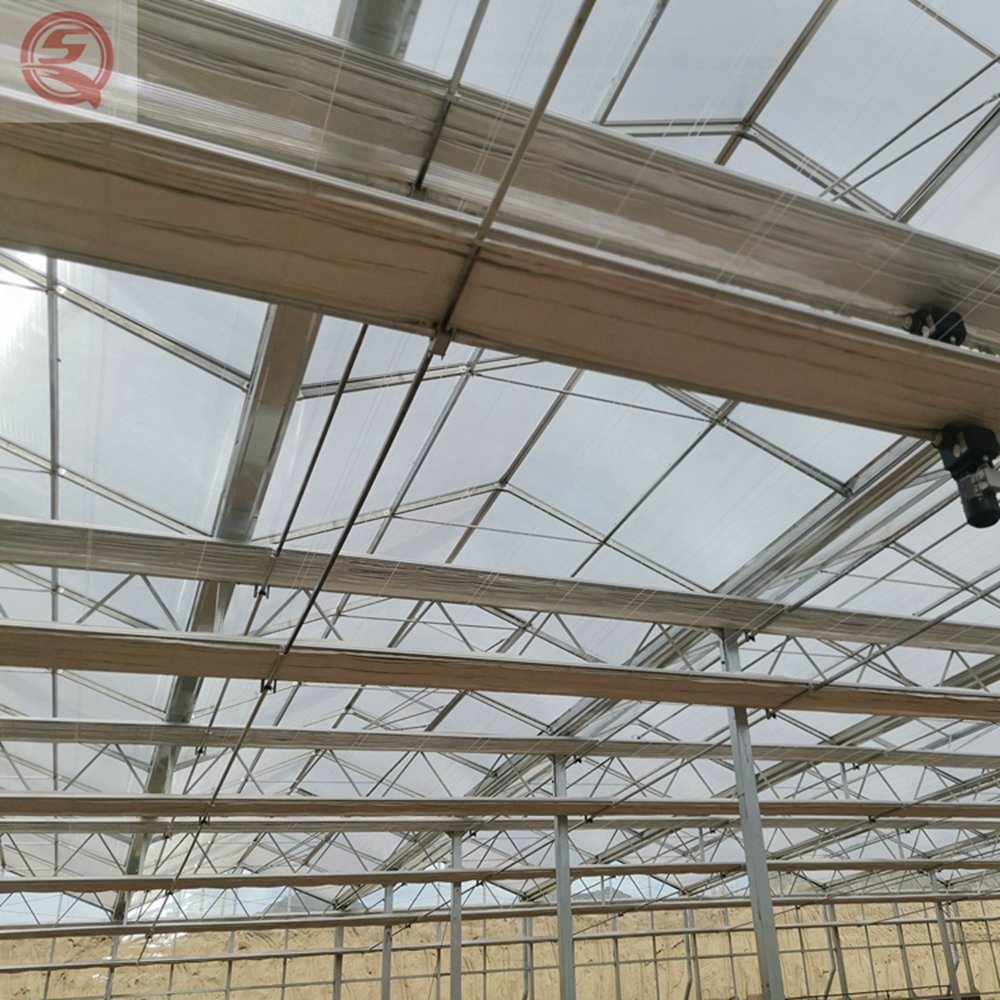 Hydroponic Growing System/Venlo Agriculture PC Sheet Greenhouse for Vegetables/Flowers/Tomato/Cucumber/Salad