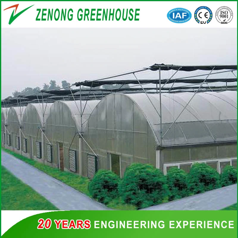 Low Cost Hot Sale Agricultural/Commercial Plastic Film Greenhouse Philippines