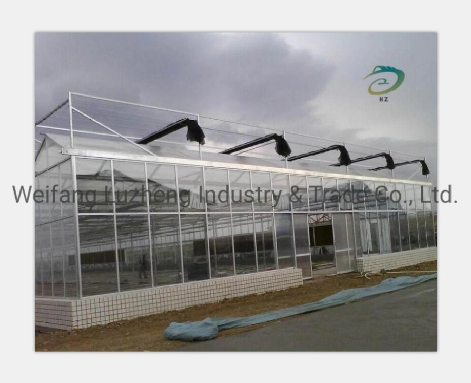 Economical and Practical Film Tunnel Greenhouse with Hydroponics System for Tomato/Strawberry/Cucumber Planting