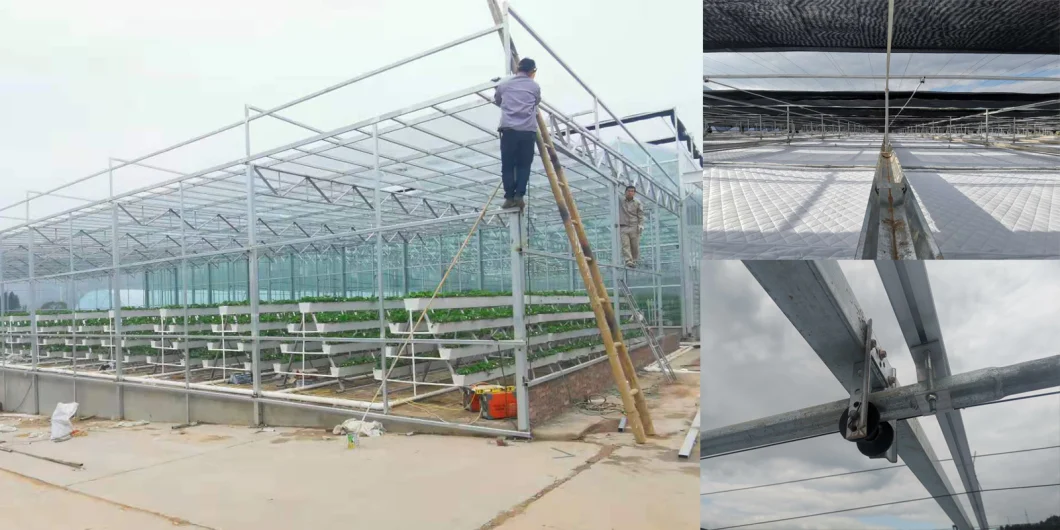Agriculture Vegetables Hydroponic Systems Equipment Multi-Span PC Greenhouse