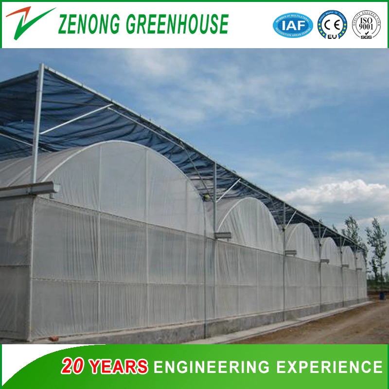 Grape Plastic Film Multi-Tunnel Greenhouse with Outside Shading Screen