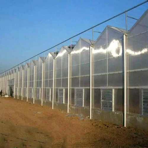 Polycarbonate Greenhouse for Vegetables Planting