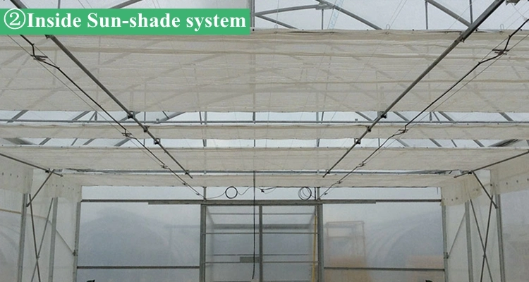 Agricultural/Commercial Glass Multi Span Greenhouse for Farming Vegetables/Flowers/Tomato/Aquaponic//Hydroponic System