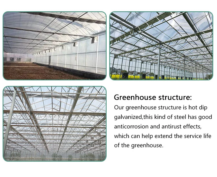 The Commercial Agricultural Cheapest Plastic Tunnel Greenhouse