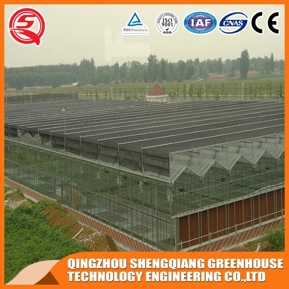 China Building Material Hollow Tempered Glass Greenhouse