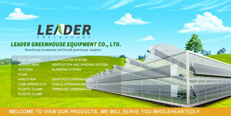 High Quality Commercial Polycarbonate Greenhouse with Shading System Electric Gear Motor