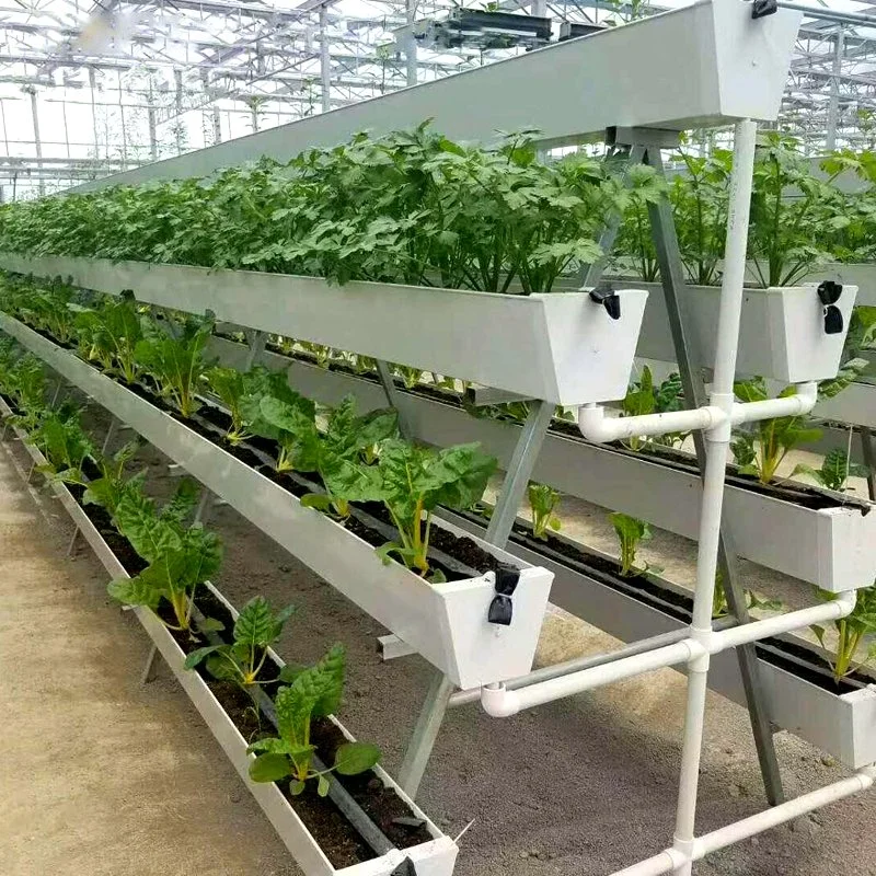 Customized Hydroponic Growing Greenhouse with Strawberry PVC Growing Gutter