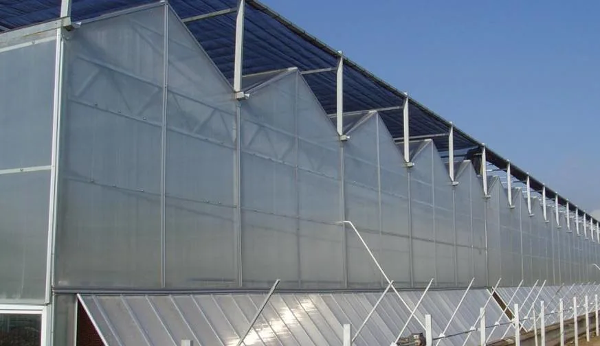 Glass Multi Span PC Sheet Plastic Polycarbonate Film Blackout Agriculture Aluminium Plant Hydroponics Commercial Greenhouse