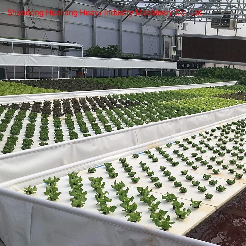 Greenhouse Agricultural Dft Floating Hydroponics System for Cultivate/Tomato/Cucumber/ Cabbage/ Pepper