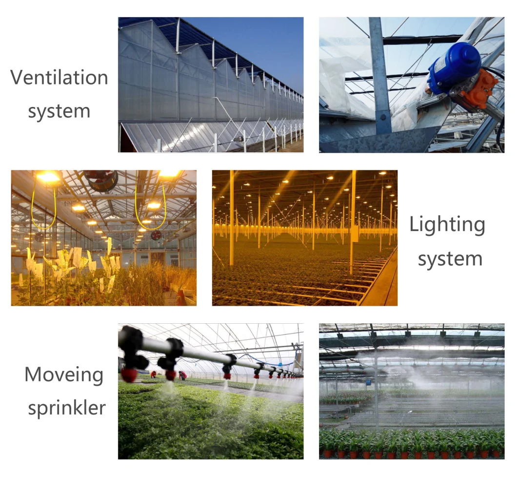 Multi-Span Greenhouses Glass Greenhouse for Agricultural