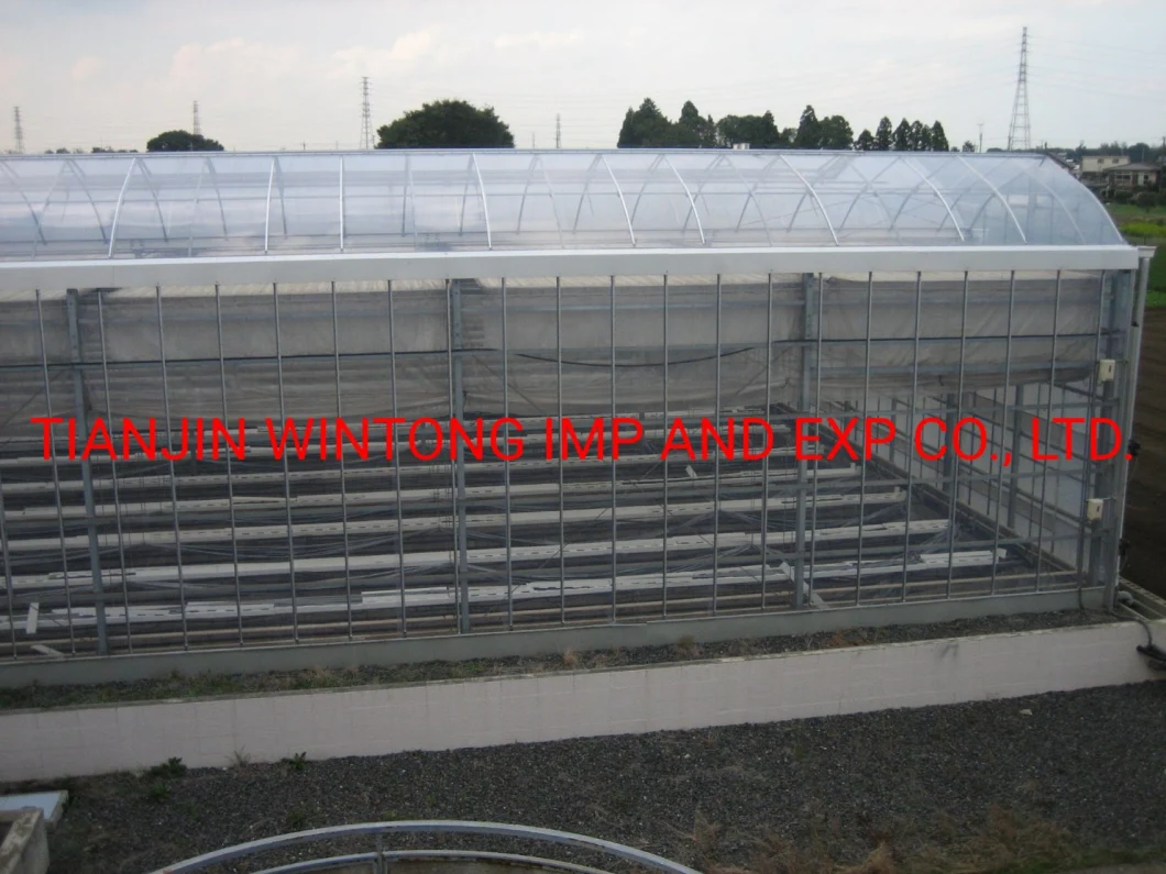 Agricultural Hydroponic Glass Greenhouse for Strawberry/Tomato/Lettuce/Cucumber Growing