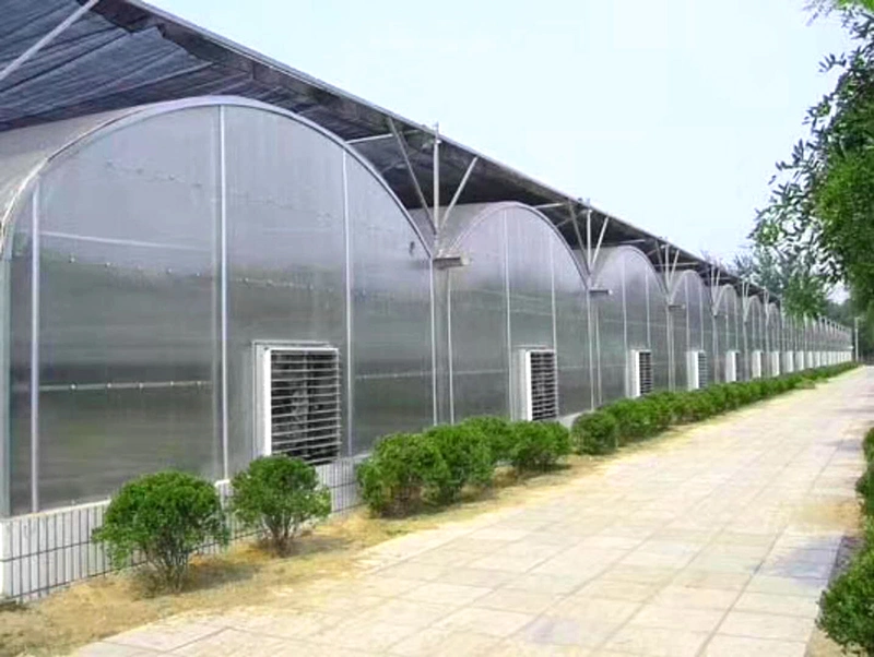 Multi Span Plastic Film Greenhouse Greenhouse for Planting/Breeding/Shading