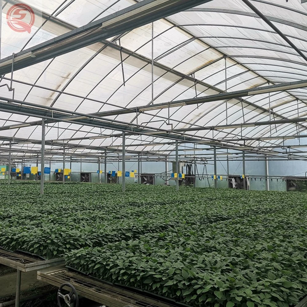 China Traditional Arch Multi-Span Poly Film Greenhouse with Shading/Hydroponic System