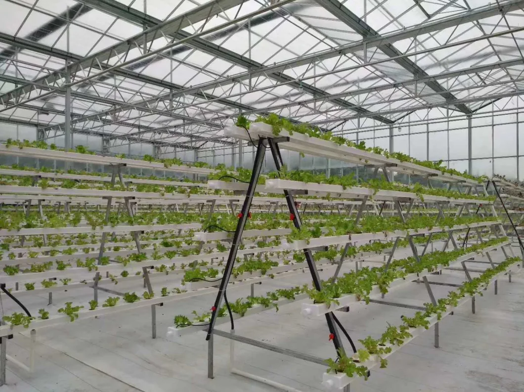 Hydroponic Controllers Greenhouses and Commercial Hydroponic Systems