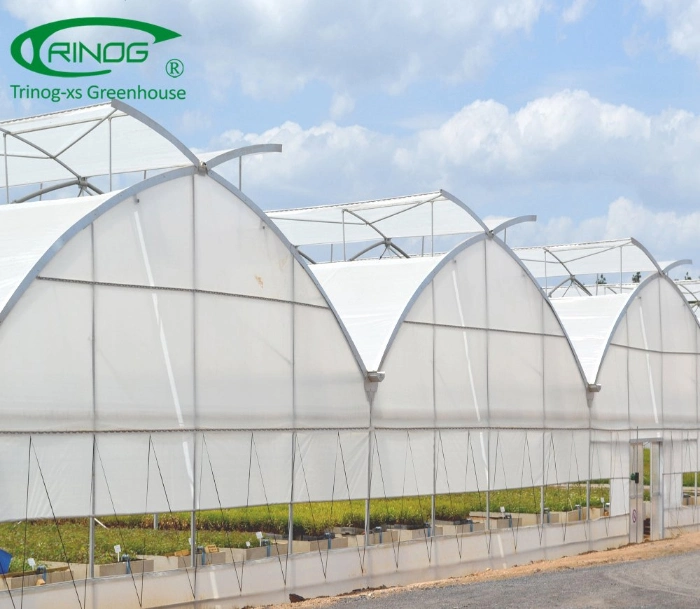 Smart horticuture used roof plastic Film Greenhouse farm with inner shading system