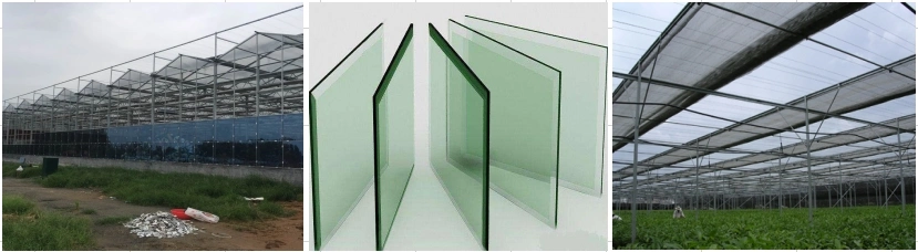 Commercial Hollow Insulated Building Facade Glass Greenhouse Tempered